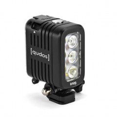 12 240x240 Qudos Action Light Silver 